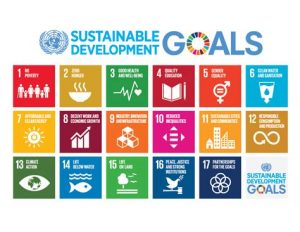 Sustainable Development Goals